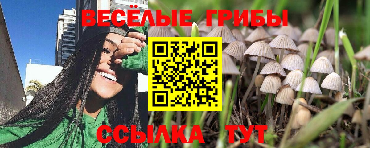 Соликамск  где найти   Вход с VPN  Галлюциногенные грибы ЛСД 